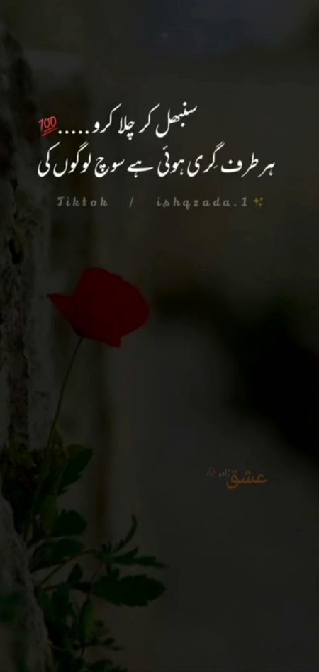 Attitude Poetry image