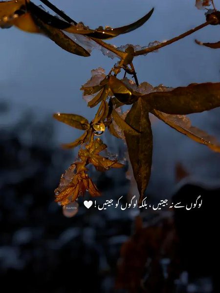 Motivational Quotes image