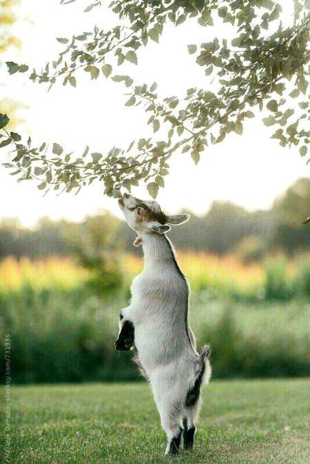 Beautiful Nature image