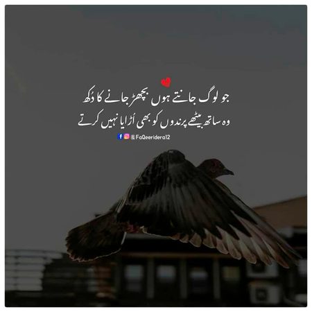 Sad Poetry image