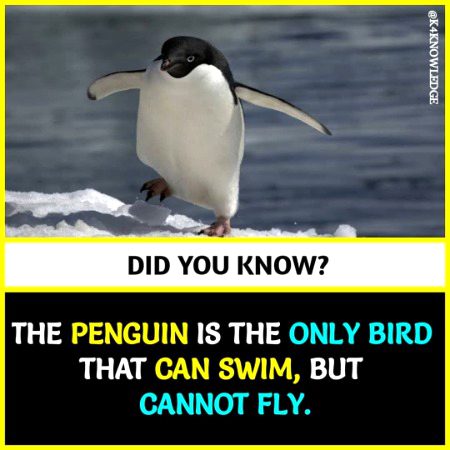Interesting Posts image