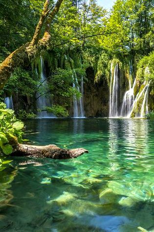 Beautiful Nature image