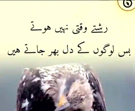 Social media post