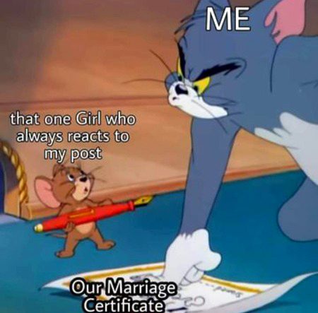 Memes & Satire image