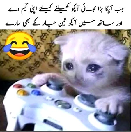 Social media post