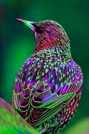 Beautiful Nature image