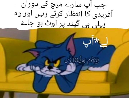 Memes & Satire image