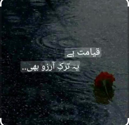 Sad Poetry image