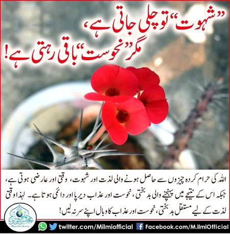 Islamic Quotes image