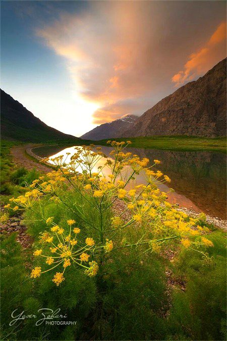 Beautiful Nature image