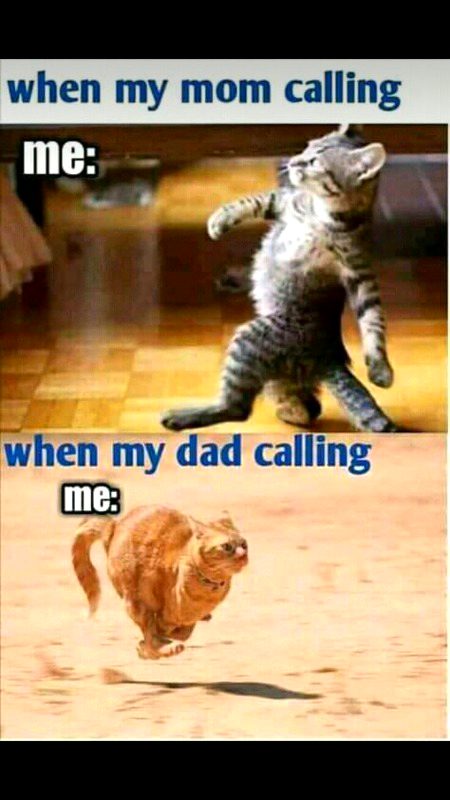 Memes & Satire image