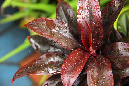 Beautiful Nature image
