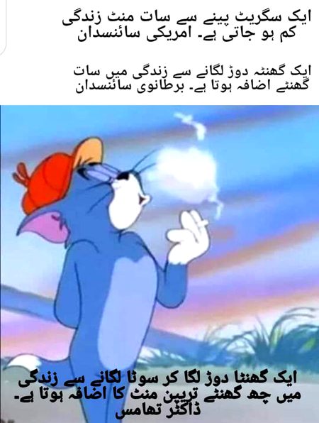 Memes & Satire image