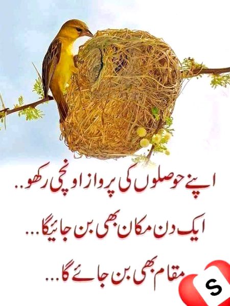 Motivational Quotes image