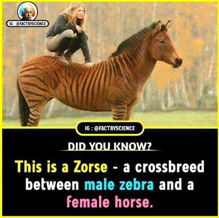 Interesting Posts image