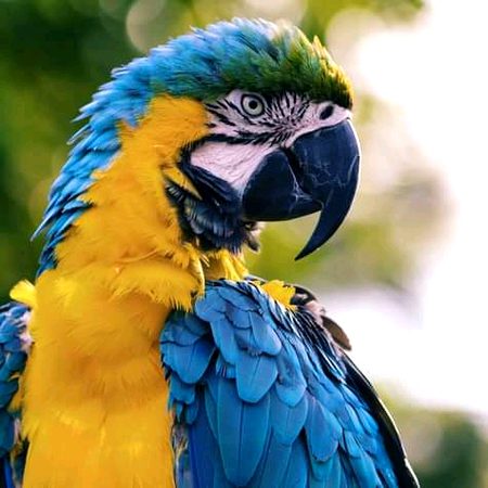 Beautiful Nature image