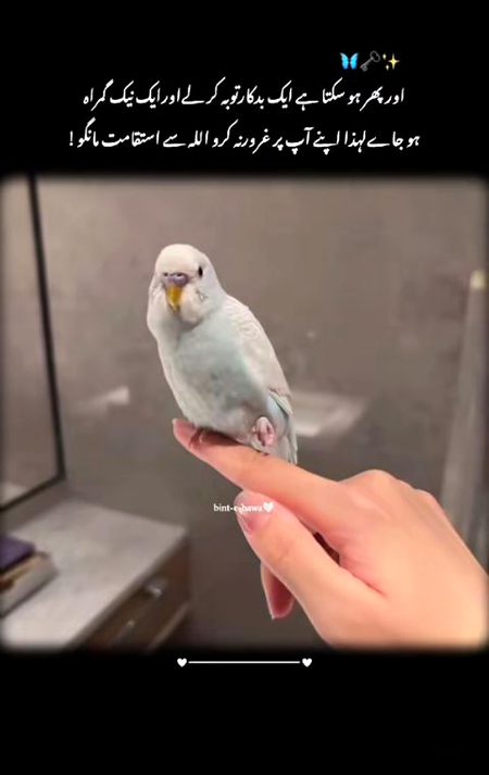 Motivational Quotes image