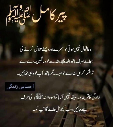 Islamic Quotes image