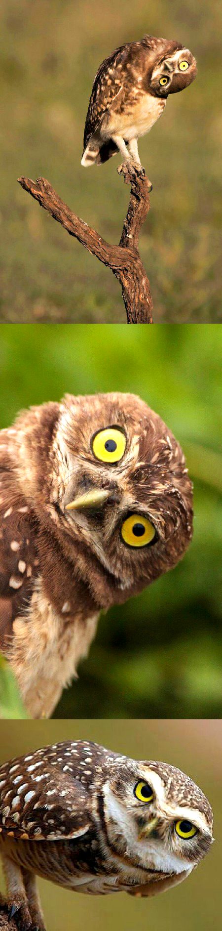 Beautiful Nature image