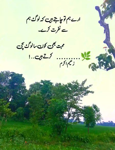 Attitude Quotes image