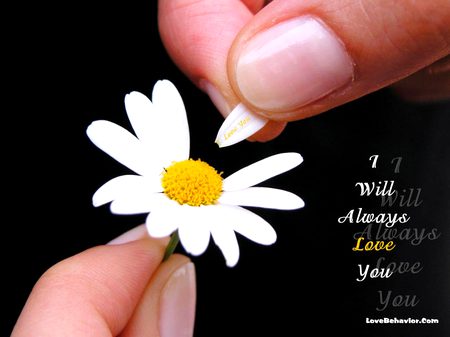 Romantic Poetry image