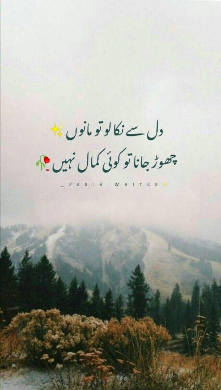 Attitude Quotes image