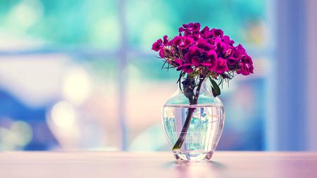 Beautiful Nature image
