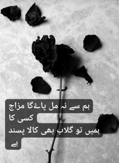 Attitude Poetry image