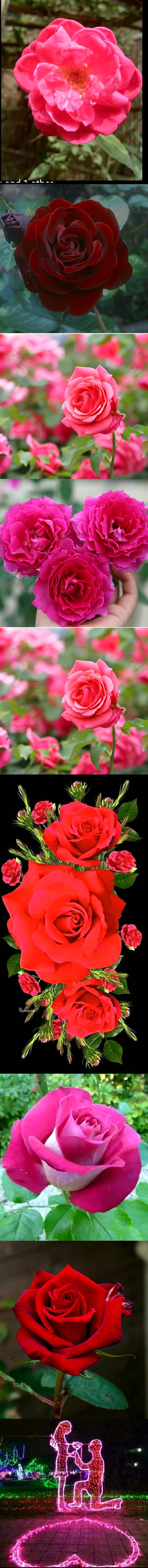 Beautiful Nature image