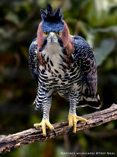 Beautiful Nature image