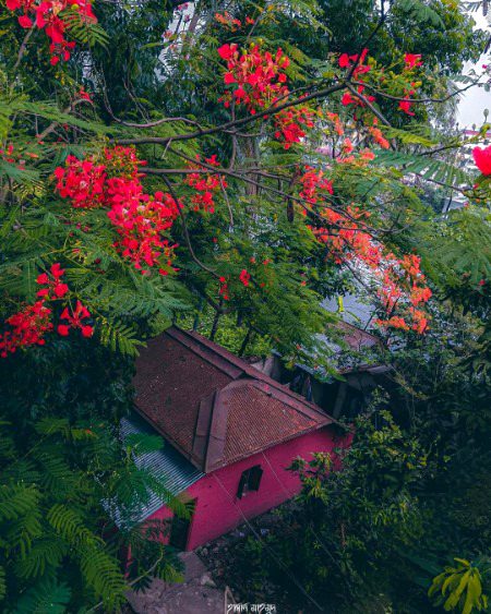 Beautiful Nature image