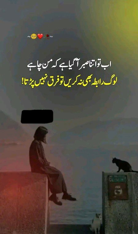 Attitude Quotes image