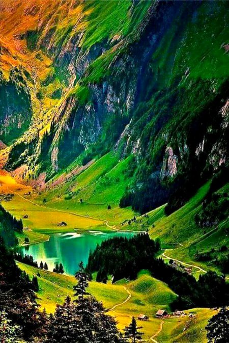 Beautiful Nature image