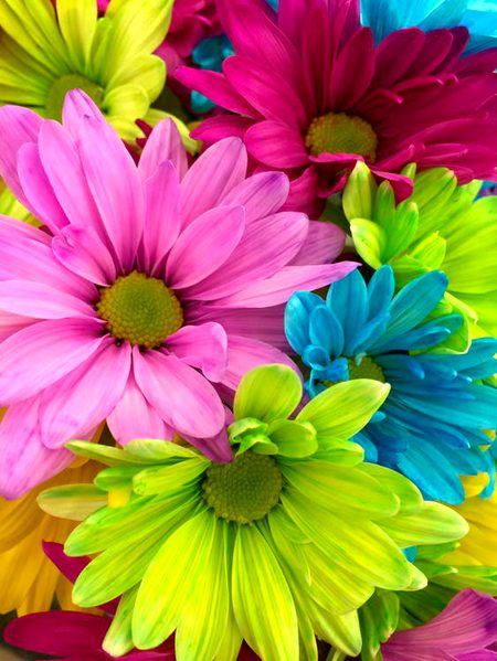 Beautiful Nature image