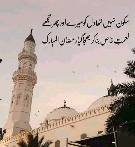 Islamic Quotes image