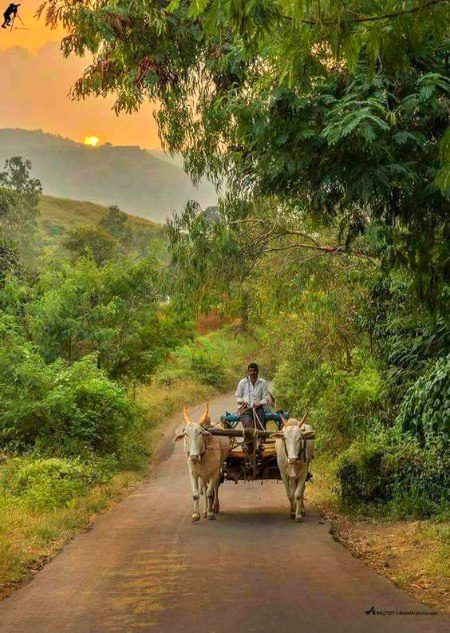Beautiful Nature image