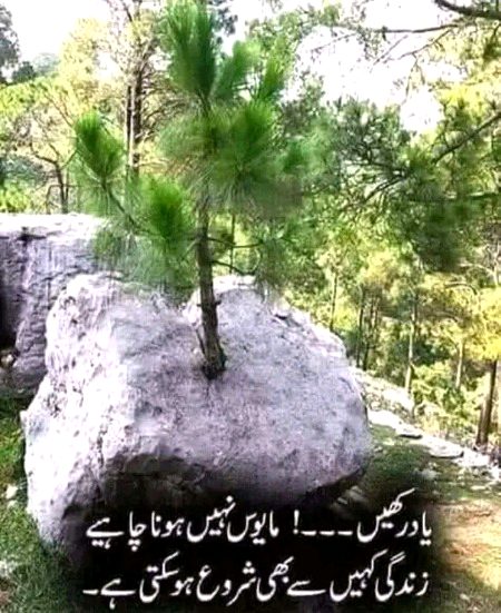 Beautiful Nature image