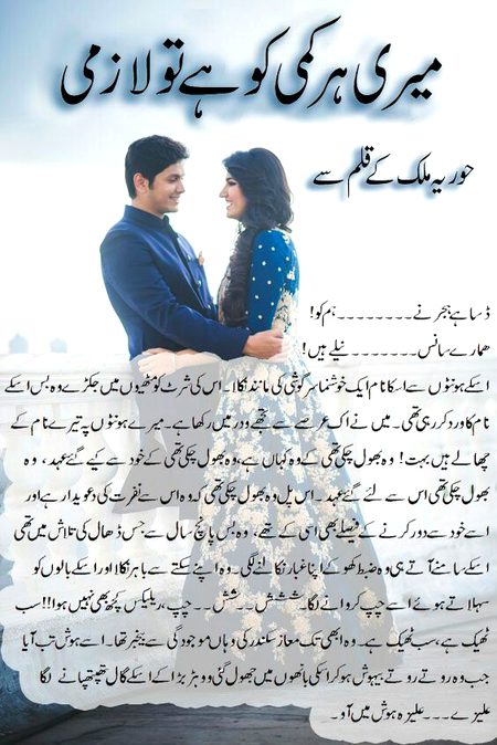Romantic Novels image