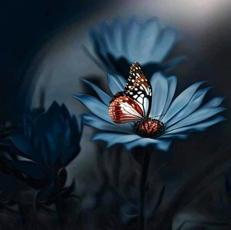 Beautiful Nature image