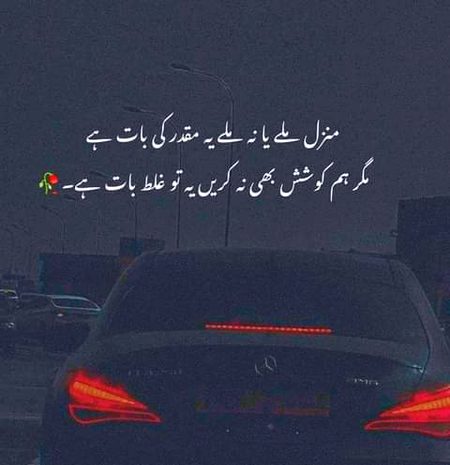 Life Advice image