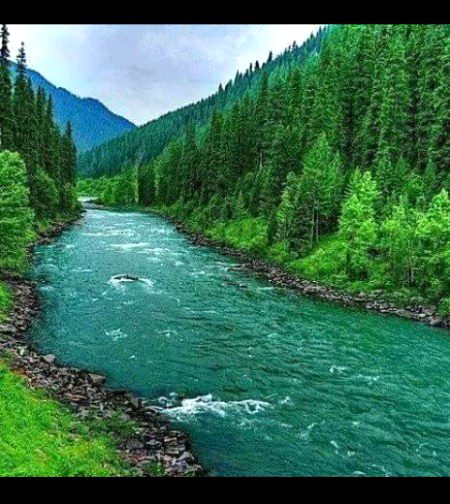 Beautiful Nature image