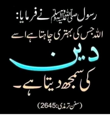 Islamic Quotes image