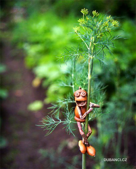 Beautiful Nature image