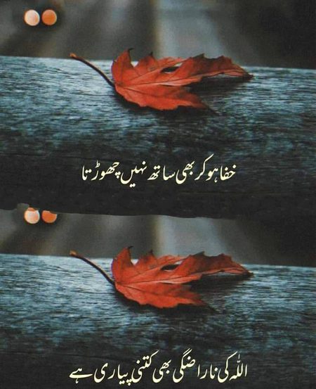 Islamic Quotes image