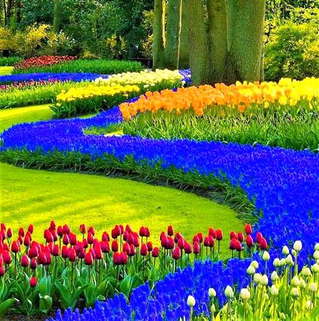 Beautiful Nature image