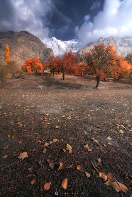 Beautiful Nature image