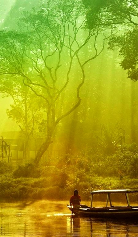 Beautiful Nature image