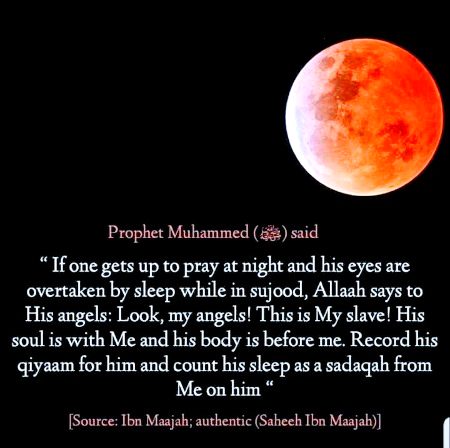 Islamic Quotes image