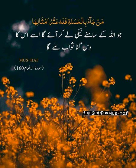 Islamic Quotes image
