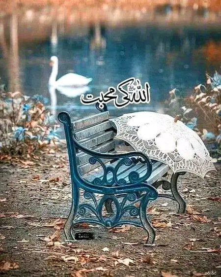 Beautiful Nature image